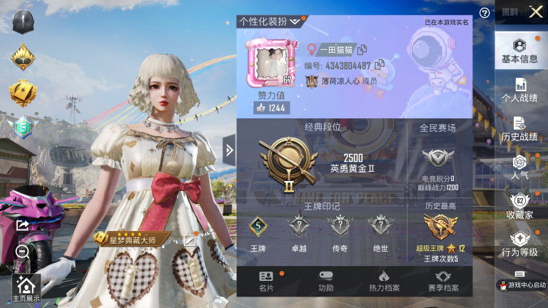 和平精英账号安卓QQ【2988】【可二次】 【8粉装5车皮肤3特效枪】5王牌印记-8粉装-3特效枪-179枪皮-153套